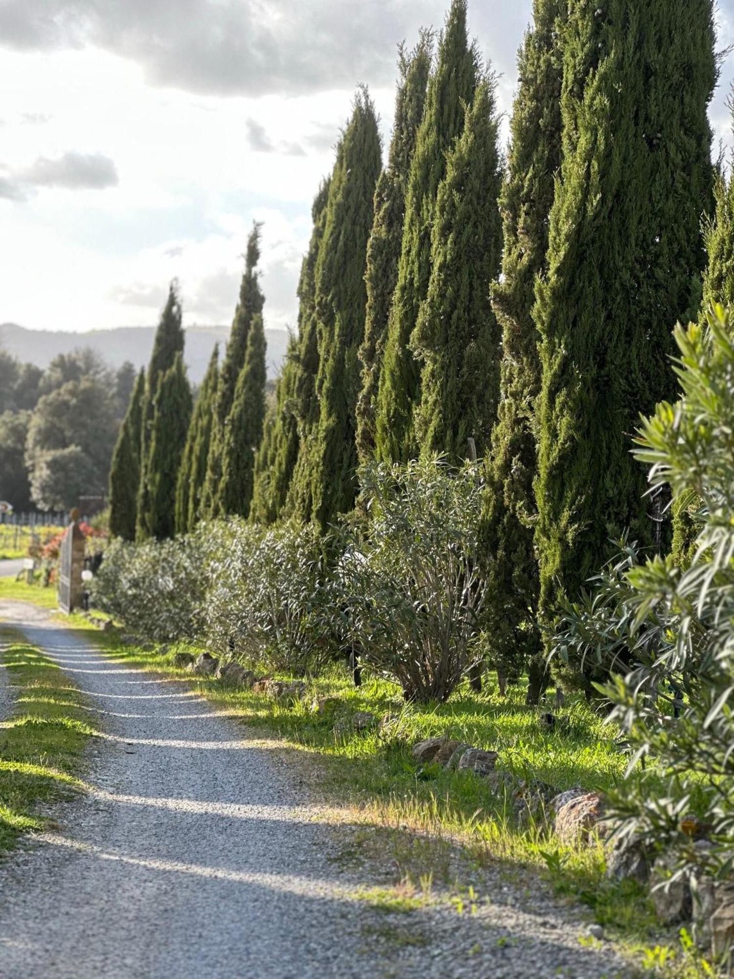 Antico Borgo Il Cardino Pension San Gimignano Buitenkant foto